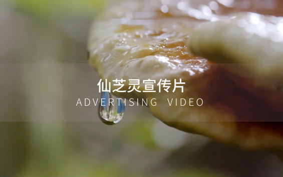 仙芝灵宣传片