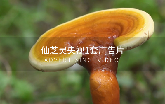 仙芝灵央视1套广告片
