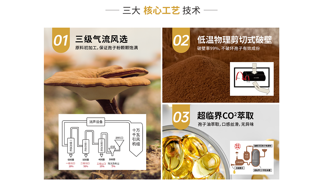 1688首页改_04.png