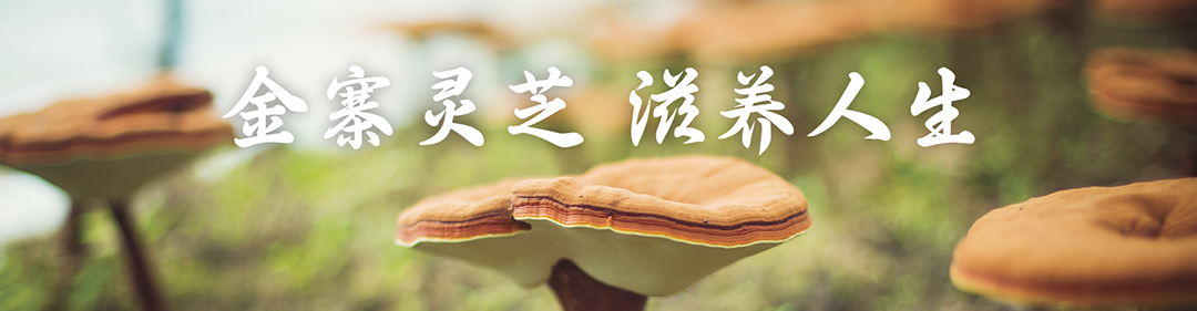 1688首页改_06.png