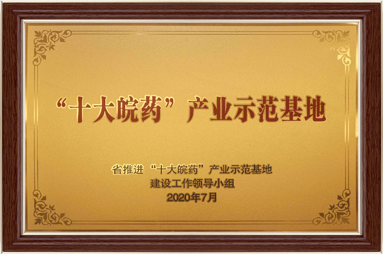 “十大皖药”产业示范基地