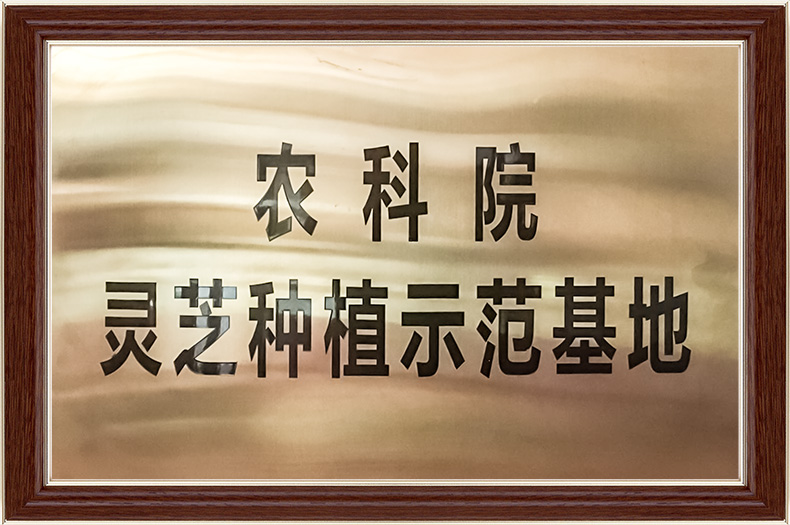 农科院灵芝种植示范基地