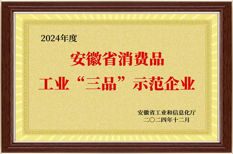 安徽省消费品“三品” 工业示范企业