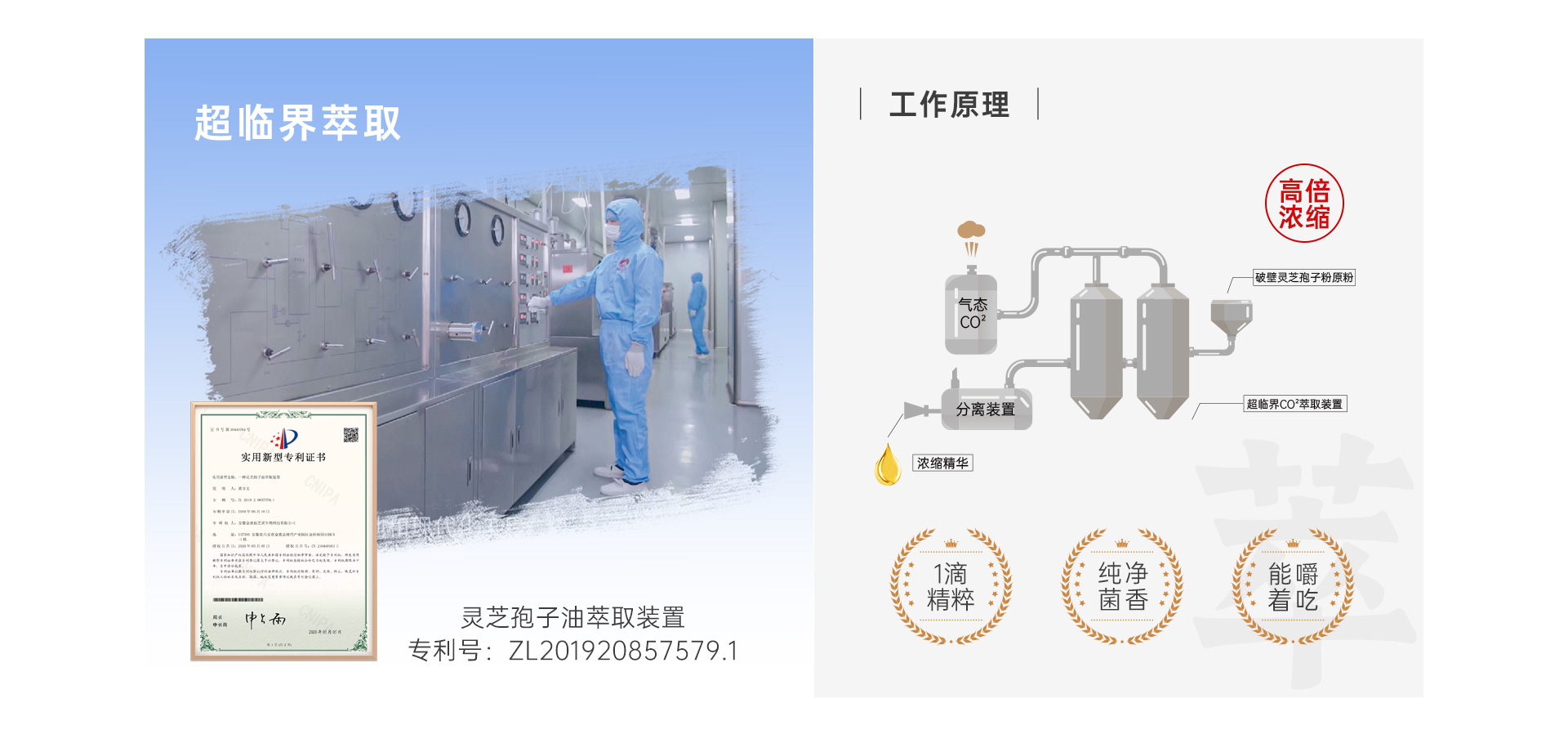 匠心2.jpg