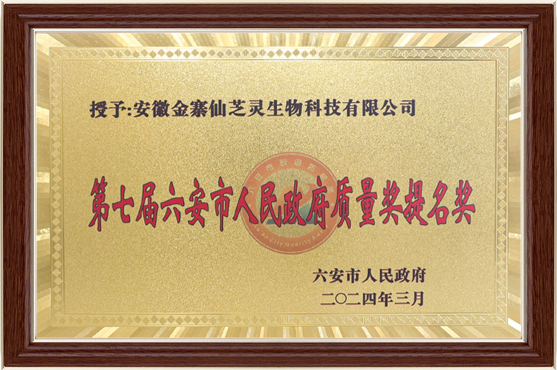 六安市政府质量奖