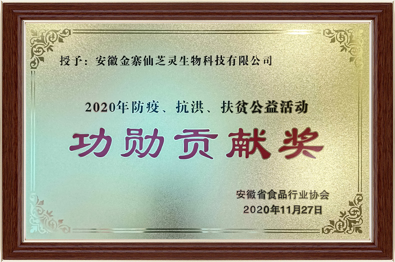 2020年防洪、抗洪、扶贫  公益活动“功勋贡献奖”