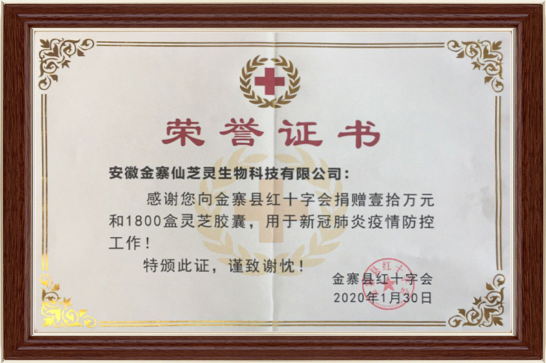 红十字会抗疫荣誉证书