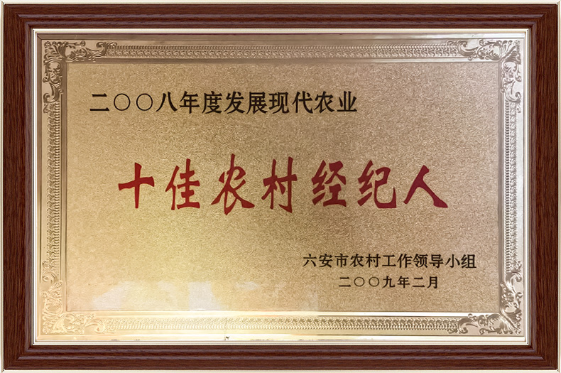 十佳农村经纪人
